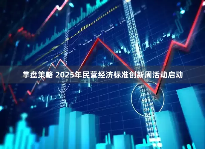 掌盘策略 2025年民营经济标准创新周活动启动